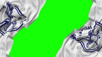 Namibia National Cricket Team, Eagles Flag Waving on Sides, Isolated with Bump Texture, 3D Rendering, Green Screen, Alpha Matte video