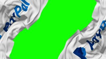 PayPal Holdings Inc Flag Waving on Sides, Isolated with Bump Texture, 3D Rendering, Green Screen, Alpha Matte video