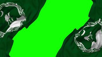 Government of Balochistan Flag Waving on Sides, Isolated with Bump Texture, 3D Rendering, Green Screen, Alpha Matte video