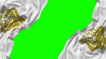 South Asian Association for Regional Cooperation, SAARC Flag Waving on Sides, Isolated with Bump Texture, 3D Rendering, Green Screen, Alpha Matte video