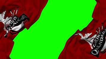 Lahore qalandars, lq bandeira acenando em lados, isolado com colisão textura, 3d Renderização, verde tela, alfa fosco video