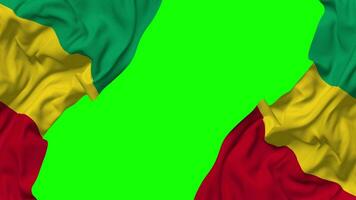 Guinea Flag Waving on Sides, Isolated with Bump Texture, 3D Rendering, Green Screen, Alpha Matte video