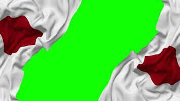 Japan Flag Waving on Sides, Isolated with Bump Texture, 3D Rendering, Green Screen, Alpha Matte video