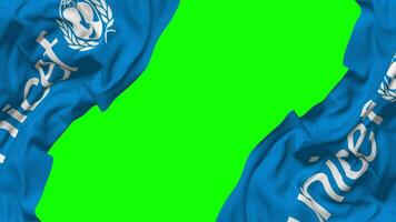 United Nations Childrens Fund, UNICEF Flag Waving on Sides, Isolated with Bump Texture, 3D Rendering, Green Screen, Alpha Matte video