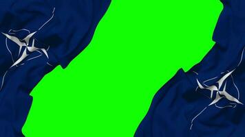 North Atlantic Treaty Organization, NATO Flag Waving on Sides, Isolated with Bump Texture, 3D Rendering, Green Screen, Alpha Matte video