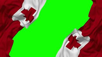 Tonga Flag Waving on Sides, Isolated with Bump Texture, 3D Rendering, Green Screen, Alpha Matte video