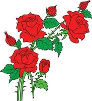 Red rose with tree isolated vector