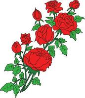 Red rose with tree isolated vector