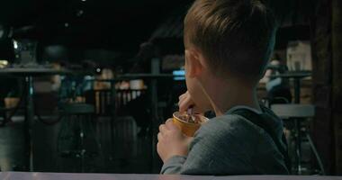 Kid eating chocolate ice-cream in cafe video