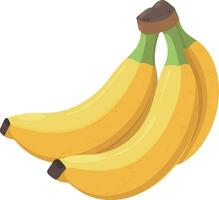 Illustration vector banana on white background