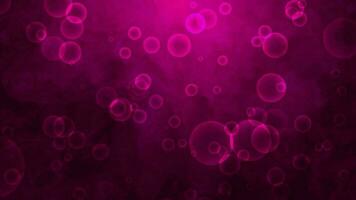 Bubbles float on a pink gradient background with reflected light. video