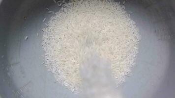 topo Visão do uma arroz fogão com arroz ser colocar para dentro a arroz fogão. video