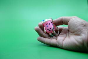 hand holding a cute key chain on a green background photo