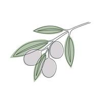 Olive branch drawn in one continuous line in color. One line drawing, minimalism. Vector illustration.