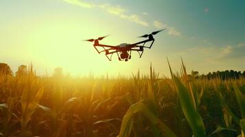 drone flying on corn plantation field at sunrise background. Digital technology smart farm concept. generative ai photo