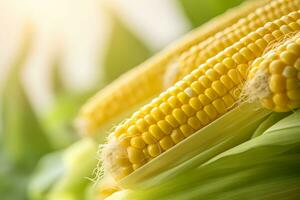close up of corn with copy space background. organic healthy ,vegetable food. generative ai photo