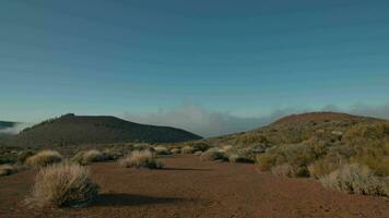 Hochland Natur und hell Sonnenschein. Tenerife Szene video