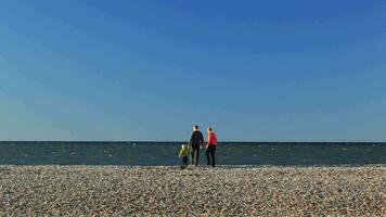 Family of three on pebble beach video