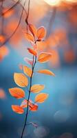 Soft focus autumn leaves in warm hues photo