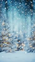 Snowy pine tree branches with blurred lights photo