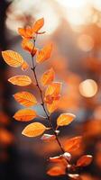 Blurred autumn leaves with shallow depth of field photo