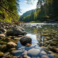 borroso río con rocas y arboles en primer plano foto