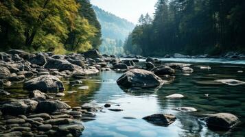 borroso río con rocas y arboles en primer plano foto