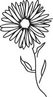 illustration of a aster flower, vector sketch pencil art, bouquet floral coloring page and book, aesthetic flower cluster drawing isolated on white background clipart