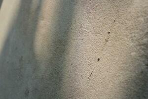 Cement and brick wall texture background, sun rays on the cement wall surface, smooth cement wall backdrop photo