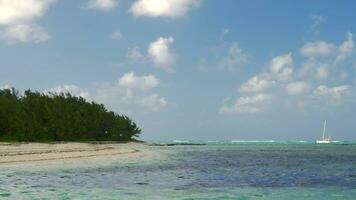 Picturesque view of strand and Indian Ocean and sailing yacht, Mauritius Island video