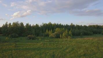 Aerial view of green forest with different trees, grass field against blue sky in daylight video