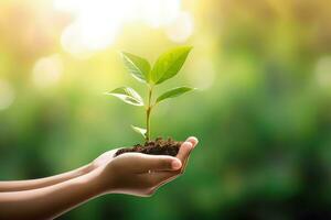 Human hands holding a young plant with green bokeh background. photo