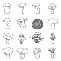 Set of edible mushrooms in doodle style vector