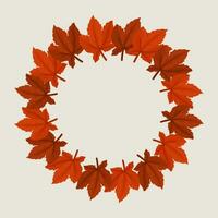 Autumn Fall Wreath Frame Of Maple Leaves With Empty Space For Text vector