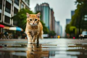 a cat walking across a wet street in the city. AI-Generated photo