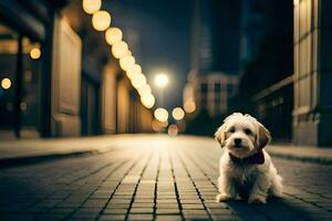 a small dog sitting on the sidewalk at night. AI-Generated photo