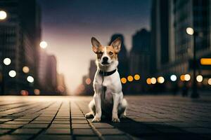 a dog sitting on the street at night. AI-Generated photo