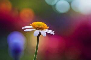 a single daisy is standing in front of a blurred background. AI-Generated photo