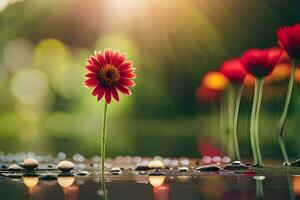 a red flower is standing in the water with rocks. AI-Generated photo