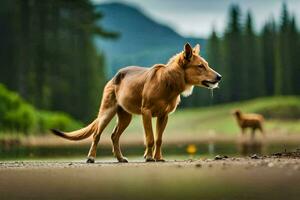 a brown dog standing on the side of a lake. AI-Generated photo