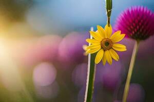 a yellow flower is standing in front of a purple flower. AI-Generated photo
