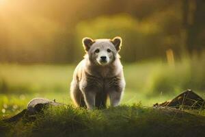 a baby bear is standing in the grass. AI-Generated photo