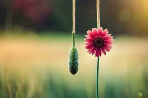 two pink flowers hanging from strings in a field. AI-Generated photo