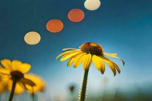 amarillo flores en el primer plano con un azul cielo en el antecedentes. generado por ai foto