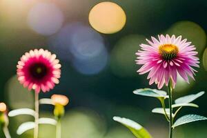 pink flowers in the sun with a blurry background. AI-Generated photo