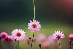 rosado flores colgando desde un cuerda en un campo. generado por ai foto