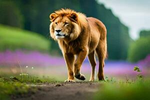 un león caminando en un camino en un campo. generado por ai foto