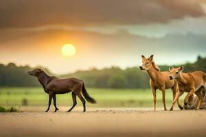 three horses are walking in the field at sunset. AI-Generated photo