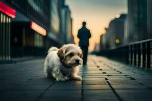 un pequeño perro es caminando abajo un calle a puesta de sol. generado por ai foto