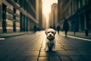 a small dog standing on a street in a city. AI-Generated photo